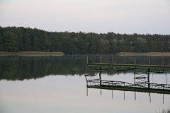 IMG_4240
