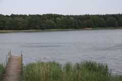 img_9952