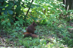 IMG_0488