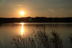 img_0117