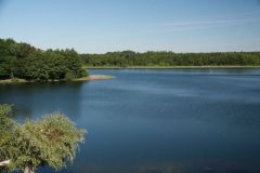 img_0241