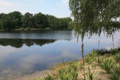 img_0808
