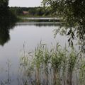 G_Skorzecin2011_052